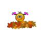 :ruduo: